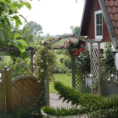 Jens 7 